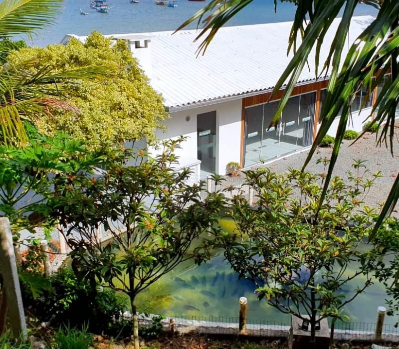 Salão de Eventos Com Cozinha Industrial